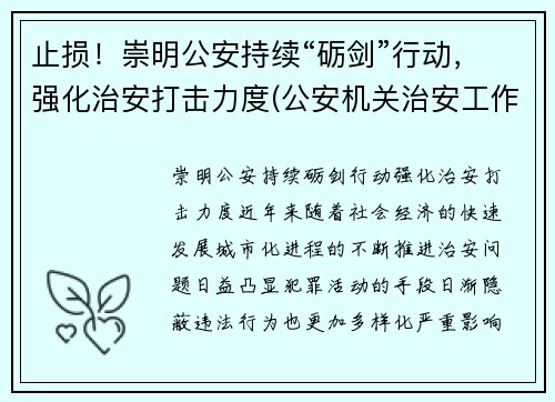 止损！崇明公安持续“砺剑”行动，强化治安打击力度(公安机关治安工作亮点)