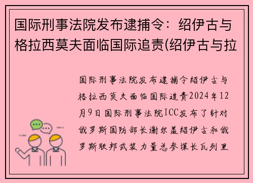 国际刑事法院发布逮捕令：绍伊古与格拉西莫夫面临国际追责(绍伊古与拉夫罗夫关系好)