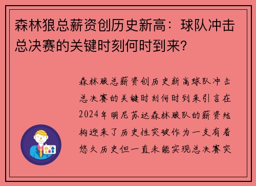 森林狼总薪资创历史新高：球队冲击总决赛的关键时刻何时到来？